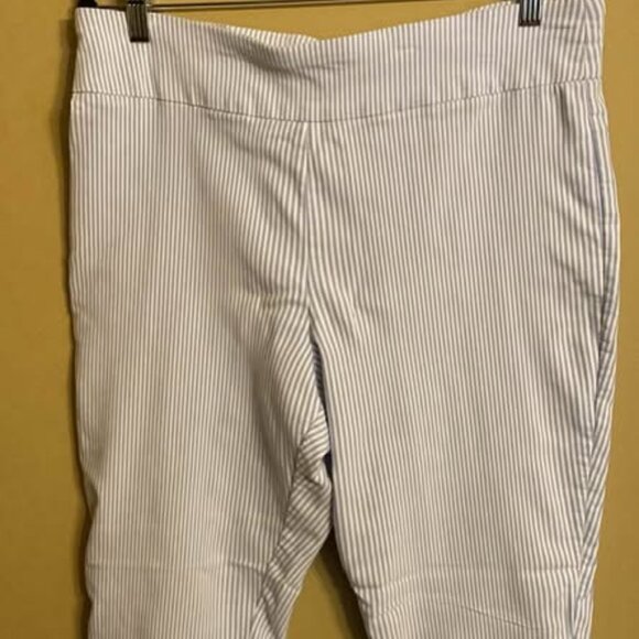 Crown & Ivy Blue Striped Pants - Picture 1 of 2